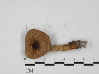 登錄號:F0027359藏品圖，第1張