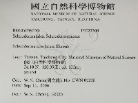 登錄號:F0027360藏品圖，第2張