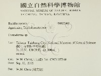 登錄號:F0027362藏品圖，第2張