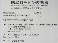 登錄號:F0027364藏品圖，第2張