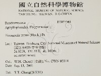 登錄號:F0027365藏品圖，第2張
