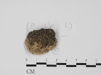 登錄號:F0027365藏品圖，第3張