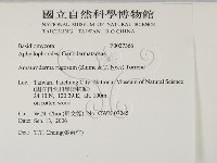 登錄號:F0027366藏品圖，第2張