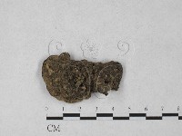 登錄號:F0027366藏品圖，第3張