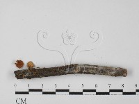 登錄號:F0027367藏品圖，第1張