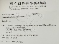 登錄號:F0027368藏品圖，第2張