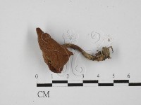 登錄號:F0027368藏品圖，第1張