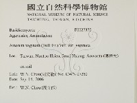 登錄號:F0027370藏品圖，第2張