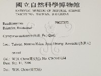 登錄號:F0027373藏品圖，第2張