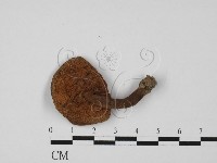 登錄號:F0027373藏品圖，第3張