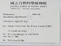 登錄號:F0027374藏品圖，第2張