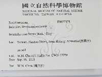 登錄號:F0027375藏品圖，第2張