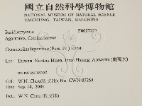 登錄號:F0027377藏品圖，第2張