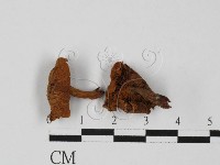 登錄號:F0027377藏品圖，第1張