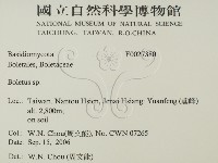 登錄號:F0027380藏品圖，第2張