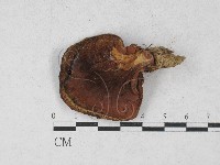 登錄號:F0027380藏品圖，第3張