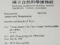 登錄號:F0027382藏品圖，第2張