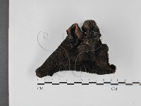 登錄號:F0027382藏品圖，第3張