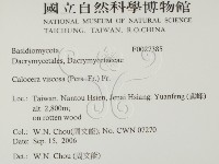 登錄號:F0027385藏品圖，第2張