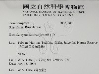 登錄號:F0027386藏品圖，第2張