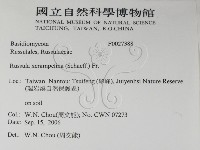 登錄號:F0027388藏品圖，第2張