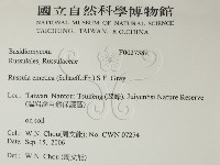 登錄號:F0027389藏品圖，第2張