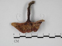 登錄號:F0027389藏品圖，第3張