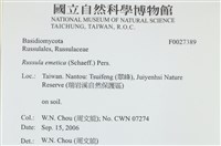 登錄號:F0027389藏品圖，第4張