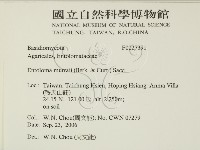 登錄號:F0027391藏品圖，第2張