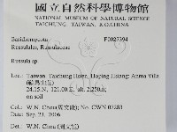 紅菇屬藏品圖，第2張