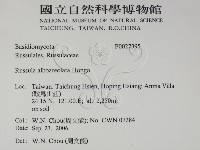 登錄號:F0027395藏品圖，第2張