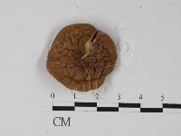 登錄號:F0027397藏品圖，第1張