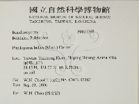 登錄號:F0027398藏品圖，第2張