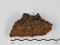 登錄號:F0027399藏品圖，第1張