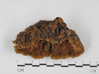 登錄號:F0027399藏品圖，第3張