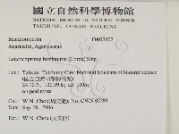 登錄號:F0027402藏品圖，第2張