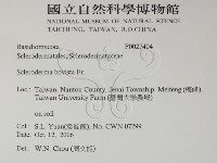 登錄號:F0027404藏品圖，第2張