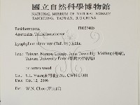 登錄號:F0027405藏品圖，第2張