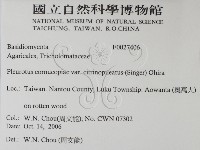 登錄號:F0027406藏品圖，第2張