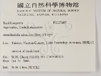 登錄號:F0027407藏品圖，第2張