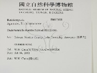 登錄號:F0027408藏品圖，第2張