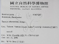 登錄號:F0027409藏品圖，第2張