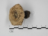 登錄號:F0027409藏品圖，第1張