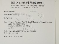 登錄號:F0027411藏品圖，第2張