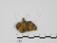 登錄號:F0027412藏品圖，第3張