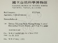 登錄號:F0027414藏品圖，第2張