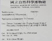 登錄號:F0027416藏品圖，第2張