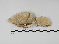 登錄號:F0027416藏品圖，第3張