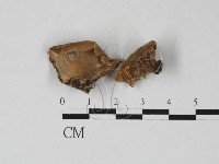 登錄號:F0027418藏品圖，第3張