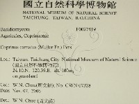登錄號:F0027419藏品圖，第2張
